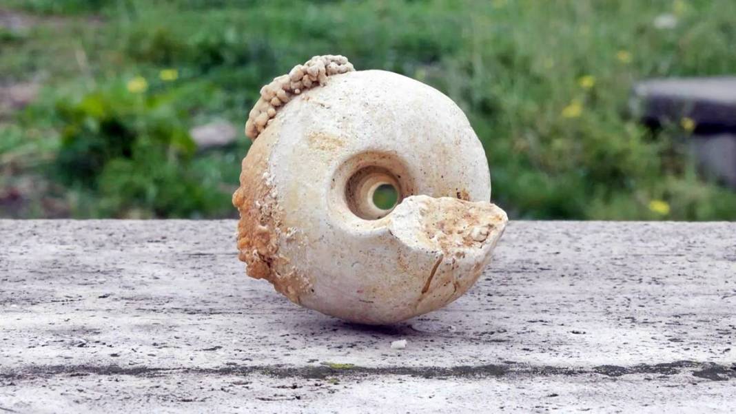 İstanbul'un o ilçesinin zemininin zayıf olduğunun en somut göstergesi! Prof. Dr. Şener Üşümezsoy'dan korkutan uyarı 15